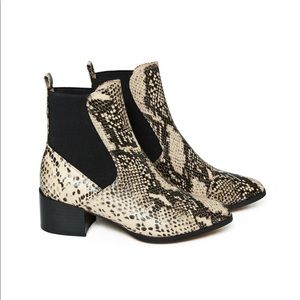 Silent D Darius Python Snake Print Chelsea boot